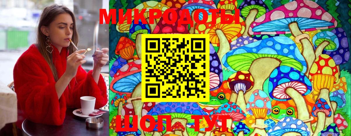цена наркотик  Псилоцибиновые грибы GOLDEN TEACHER  Псилоцибиновые грибы Psilocybe  Вход с VPN  Елец 